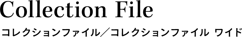 myfa Collection File コレクションファイル