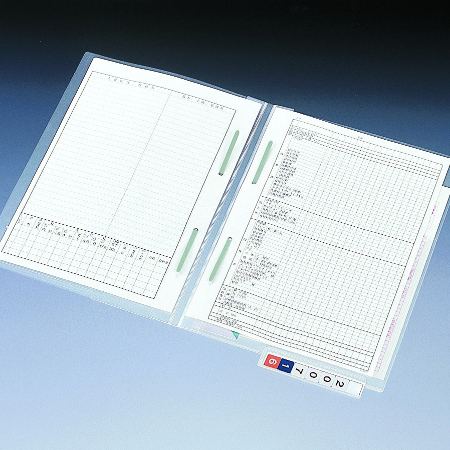 （まとめ買い） リヒトラブ カルテフォルダー ダブルファスナー付 A4 HK716U ×3 リヒトラブ カルテフォルダーダブルファスナー付 A4ヨコ 見出し紙付 上